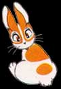 Anime Bunny!